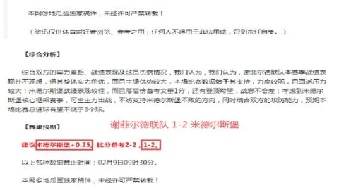 贝尔塔计划今夏为阿森纳寻购关键前锋，目标明确